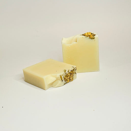 Chrysanthemum